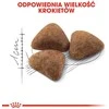 Royal Canin Indoor 400g