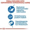 Royal Canin Indoor 400g