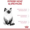 Royal canin kitten 36 - sausas maistas katei - 2kg