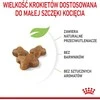 Royal canin kitten 36 - sausas maistas katei - 2kg