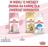 Royal Canin Kitten Sterilised sausas maistas katėms su paukštiena, ryžiais, daržovėmis 3,5kg