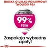 Royal canin mini exigent - sausas Maistas šunims išrankiems - 1kg