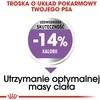 Royal canin mini sterilised - sausas maistas šuniui - 1kg