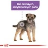 Royal canin mini sterilised - sausas maistas šuniui - 1kg