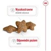 ROYAL CANIN Adult Mini S - sausas šunų maistas - 2kg