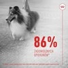 Gyvūnų Maistas - ROYAL CANIN Šunų Odos ir Kailio Suaugusiųjų 240g Be Cukraus Be Sojų