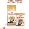 Royal canin persian adult - maistas katei rasy pers - 2kg