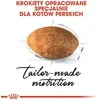 Royal canin persian adult - maistas katei rasy pers - 2kg