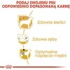 Royal canin poodle 1,5kg