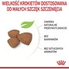 Royal canin puppy mini shn - sausas maistas šuniukams - 2kg