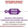Royal canin shn giant adult - sausas maistas šuniui dorosłego - 15 kg