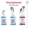 Royal canin shn giant adult - sausas maistas šuniui dorosłego - 15 kg