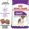 Royal canin shn giant adult - sausas maistas šuniui dorosłego - 15 kg