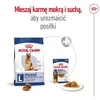 Royal canin shn maxi adult 5+ - sausas maistas šuniui dorosłego - 15 kg