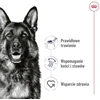 ROYAL CANIN SHN Maxi sausas sausas maistas suaugusioms katėms, 410 g