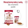 Royal Canin SHN vidutinio dydžio suaugusių šunų pašaras BF 4kg