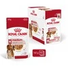 Royal canin shn medium adult w sosie - mokra maistas šuniui dorosłego - 10x140 g