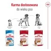Royal canin shn medium adult w sosie - mokra maistas šuniui dorosłego - 10x140 g