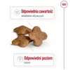 Royal canin shn mini adult 8+ - sausas maistas suaugusiam šuniui - 8kg