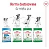 Šunų Maistas - Royal Canin Suaugusių Mini S 8kg