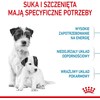 Sausas Šunų Maistas - Royal Canin Shn Mini Starter Mama Ir Šuniukas 4kg