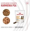 Gyvūnų Maistas - ROYAL CANIN Šunų Odos ir Kailio Suaugusiųjų 240g Be Cukraus Be Sojų