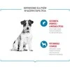 ROYAL CANIN dresūros skanėstai šunims - 110 g