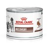Royal Canin VD Cat/Dog Recovery konservai 195g