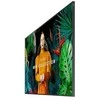 Monitorius Samsung qb65c płaski panel digital signage 165,1 cm (65") lcd wi-fi 350 cd/m2 4k ultra hd juoda procesor įmontuotas tizen 7.0 16/7