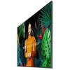 Samsung Profesionalus monitorius QB85C, 85 colių blizgus, 16 colių įstrižainės, 350 (cd/m2), 3840x2160 (UHD), S10 grotuvas („Tizen 7“, VXT parengtas), „Wi-Fi“/BT, 3 metai vietoje (LH85QBCEBGCX)
