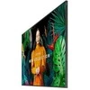 Samsung Profesionalus monitorius qm55c 55 colių matinis 24 val./7 500 (cd/m2) 3840 x 2160 (uhd) s10 grotuvas (tizen 7) wifi/bt 3 metai vietoje (lh55qmcebgcxen)