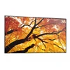 Monitorius „Sharp LFD MODELIS PN-M652“, 65 colių M serijos didelio formato ekranas, UHD, 550 cd/m2, D-LED foninis apšvietimas, 24/7 įrodymas, SDM lizdas, CM lizdas