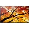 Monitorius Sharp M502 50 colių LFD UHD 550CD/M2 D-L - FONINIS APŠVIETIMAS, 24/7 ĮSPĖJIMAS, SDM LIZDAS, CM