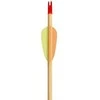 Poe Lang Ek Poe Lang Target Wooden 30″ D-027A-B1 Medinės strėlės 5 vnt.