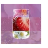Yankee Home Scented Candle YANKEE CANDLE WILD ORCHID 110 g Small