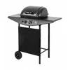 Teesa dujinis grilis bbq 2000 - 2 degikliai