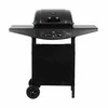 Teesa dujinis grilis bbq 2000 - 2 degikliai