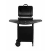 Teesa dujinis grilis bbq 2000 - 2 degikliai