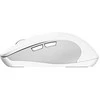 Trust 25674 pelė Universal Ambidextrous Bluetooth 3200 DPI