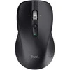 Trust 25673 pelė Universal Ambidextrous Bluetooth 3200 DPI