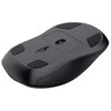 Trust 25673 pelė Universal Ambidextrous Bluetooth 3200 DPI