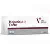Vetexpert HEPATIALE FORTE 300mg, 40 tab.