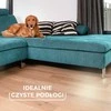 Vileda visada švarus Pet Pro šepetys, skirtas kailiui ir plaukams šluoti