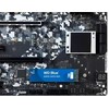 Sandisk Dysk ssd mėlynas 2tb sa510 m.2 2280 wds200t3b0b
