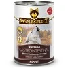 WOLFSBLUT VetLine Gastrointestinal antiena – drėgnas ėdalas šunims – 395g