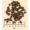 Šunų Maistas - WOLFSBLUT Wide Plain Small Breeds Horse su Saldžiosiomis Bulvėmis, 2kg