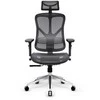 Diablo Chairs Diablo V-Basic Juodas-Pilkas ergonominė kėdė