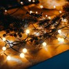 Twinkly | Mini 100 silikoninių lempučių dangteliai