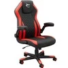 Žaidimų kėdė White Shark Dervish Gaming Chair, Juoda-raudona