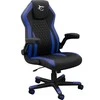 Žaidimų kėdė White Shark Dervish Gaming Chair, Juoda-mėlyna